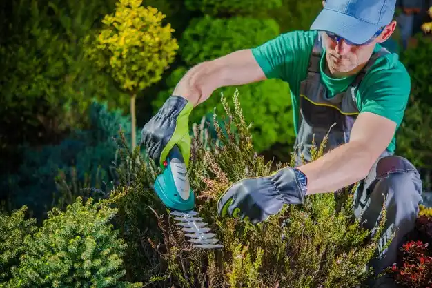 landscaping services Attica